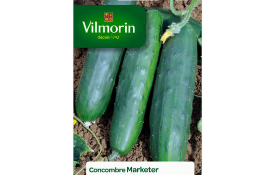 Concombre Marketer