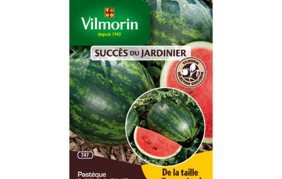 Past&egrave;que Mini-love HF1 (Succ&egrave;s du Jardinier)