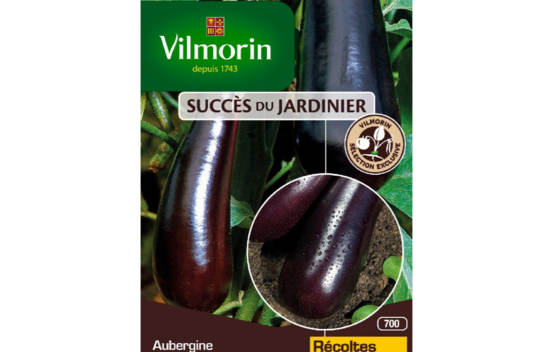 Aubergine Avan HF1 (Cr&eacute;ation Vilmorin) (Succ&egrave;s du Jardinier)