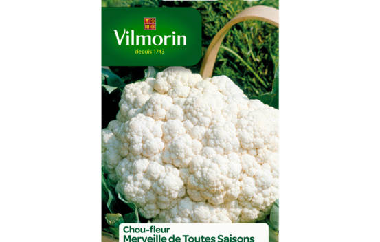 Chou-fleur Merveille de toutes saisons
