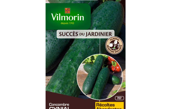 Concombre Gynial HF1 (Cr&eacute;ation Vilmorin) (Succ&egrave;s du Jardinier)