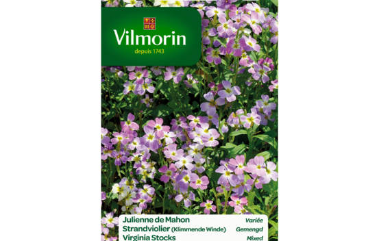 Julienne de Mahon vari&eacute;e
