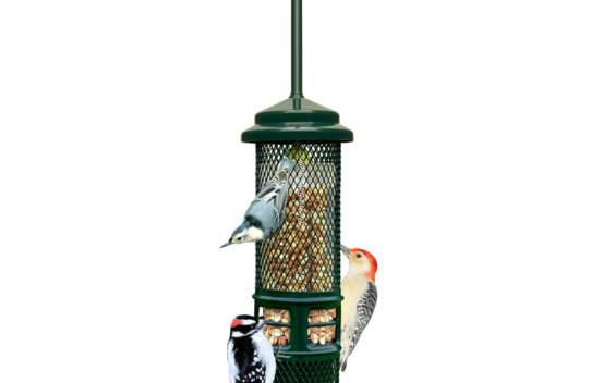 Mangeoire Squirrel Buster Peanut+ / Nut Feeder