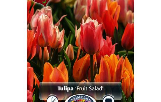 Tulipe Fruit Salad (M&eacute;lange Perfect Partners) (Paquet de 10 bulbes)